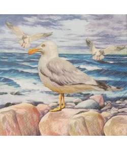 Servetten Seagulls on Rocks