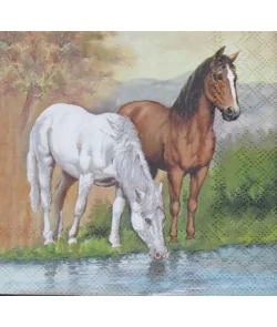 Servetten Horses